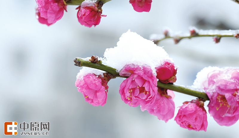 高清：俯瞰雪后绿城 大地如此多娇