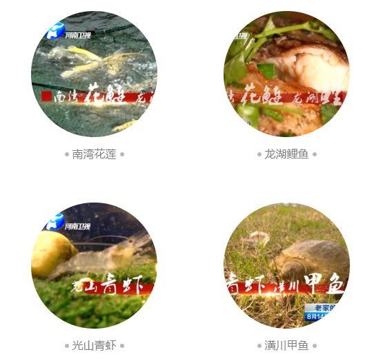 中原河鲜，那份割舍不下的家乡美味