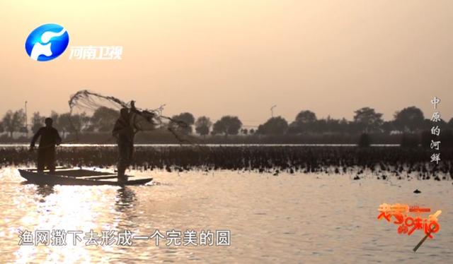 中原河鲜，那份割舍不下的家乡美味