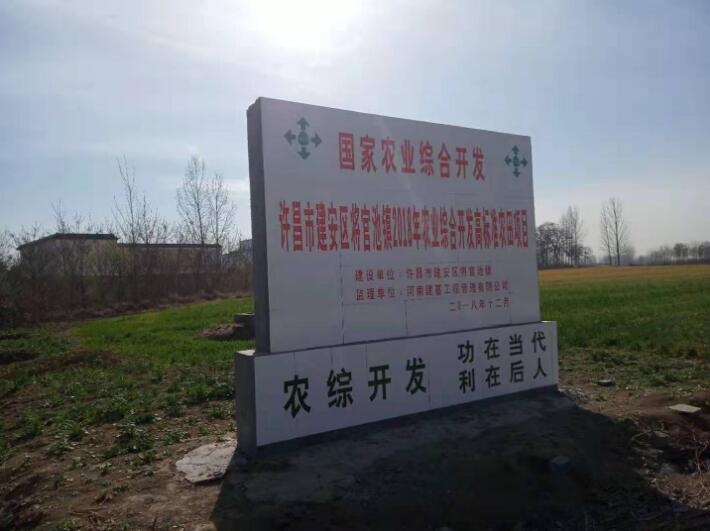 河南许昌建安区数千亩麦苗离奇枯死 村民有苦难言