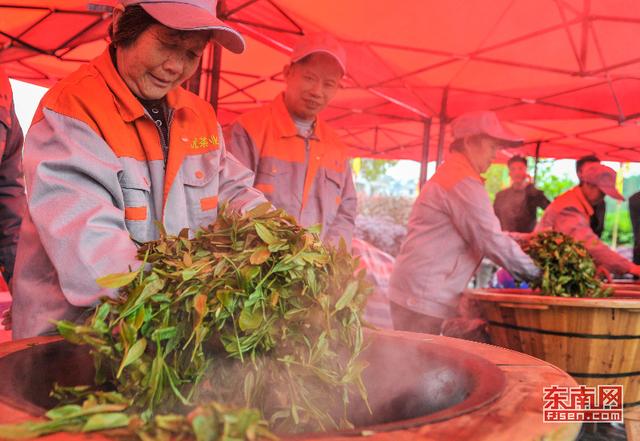 罗源县举办首届七境茶文化节