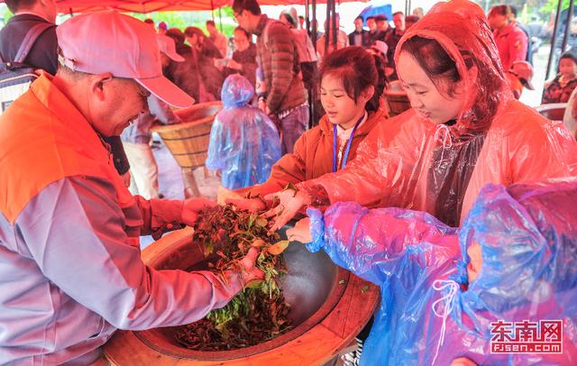 罗源县举办首届七境茶文化节
