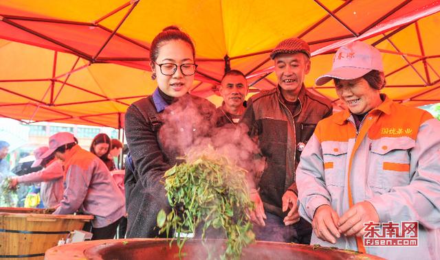 罗源县举办首届七境茶文化节