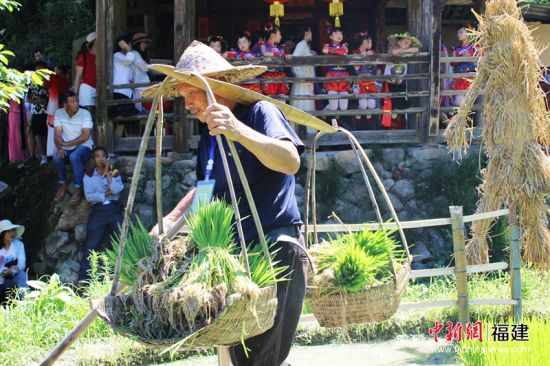 屏南800年古村落农耕文化节：亲子齐插秧 体验农耕乐