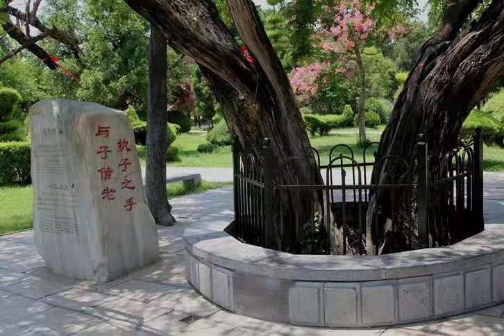 大美淮阳