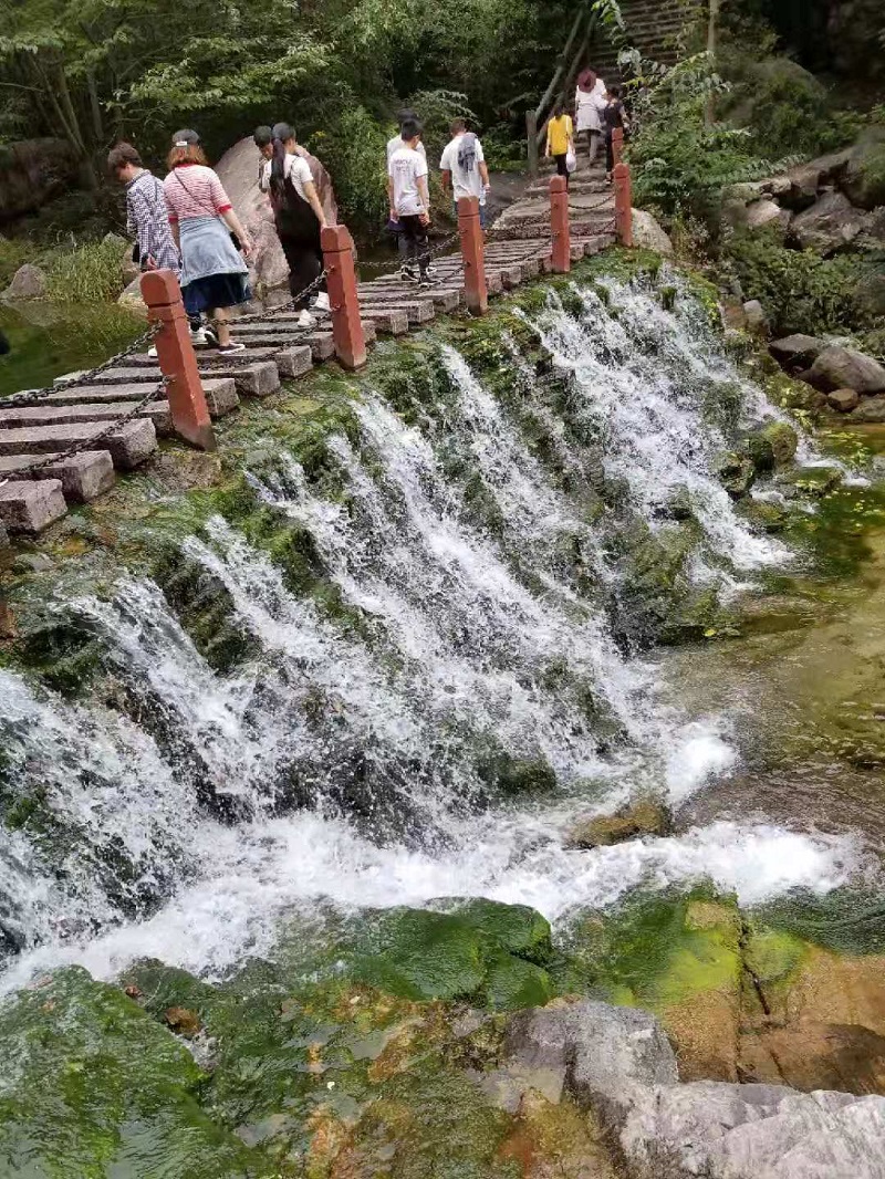 眼遇图片欣赏