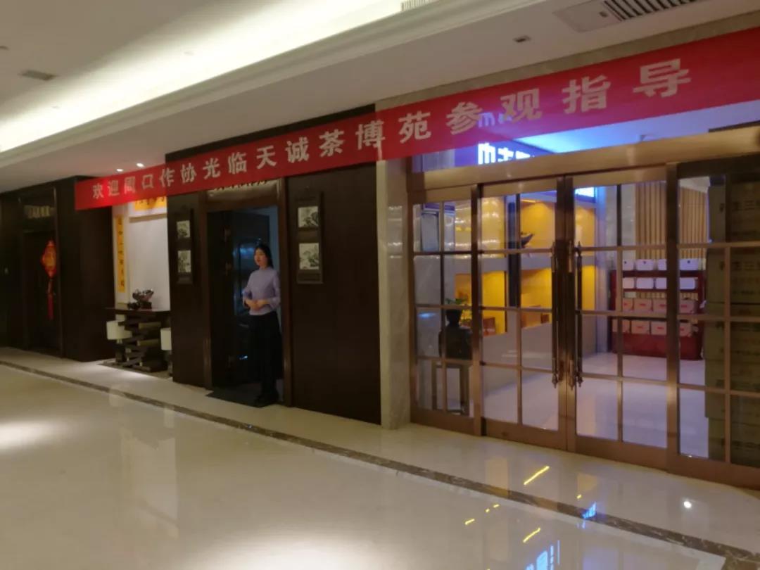 周口作家走进天诚茶博苑，共同见证百年普洱的神韵