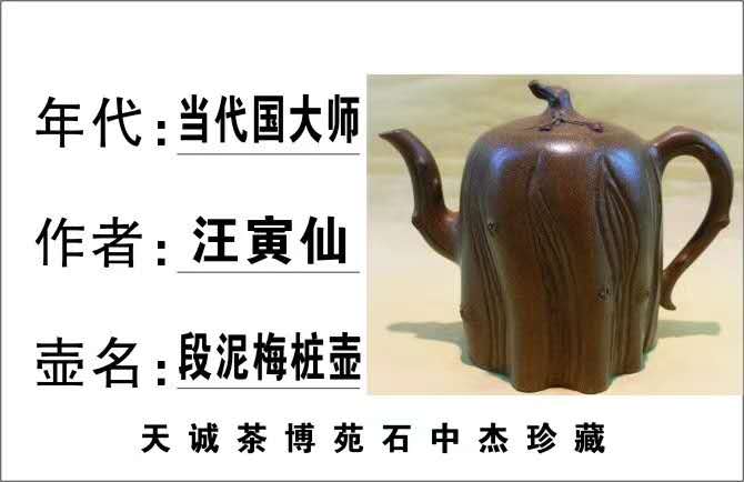 周口天明城茶博苑珍藏品展示之（2）梅桩壶