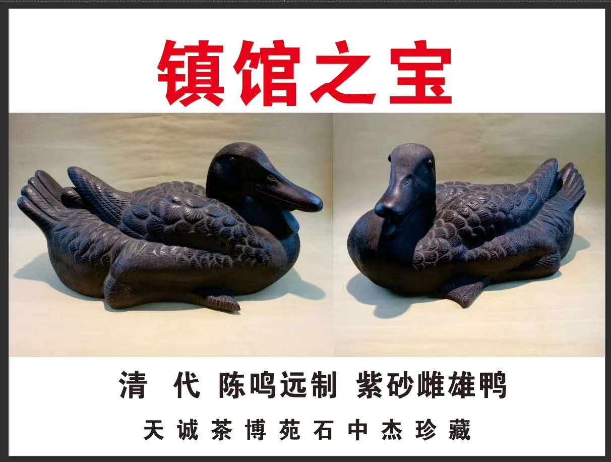 周口天诚茶博苑珍藏品展示之(3)镇馆之宝紫砂雌雄鸭
