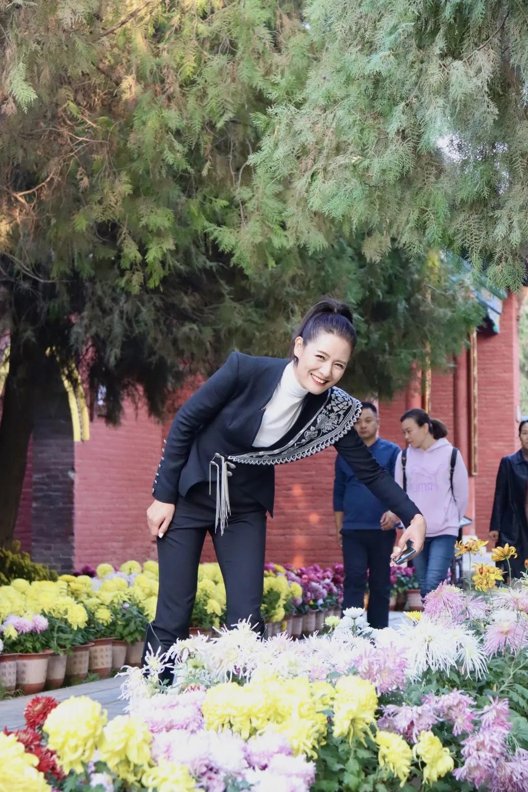 国际名模马艳丽到淮阳太昊陵谒祖赏菊