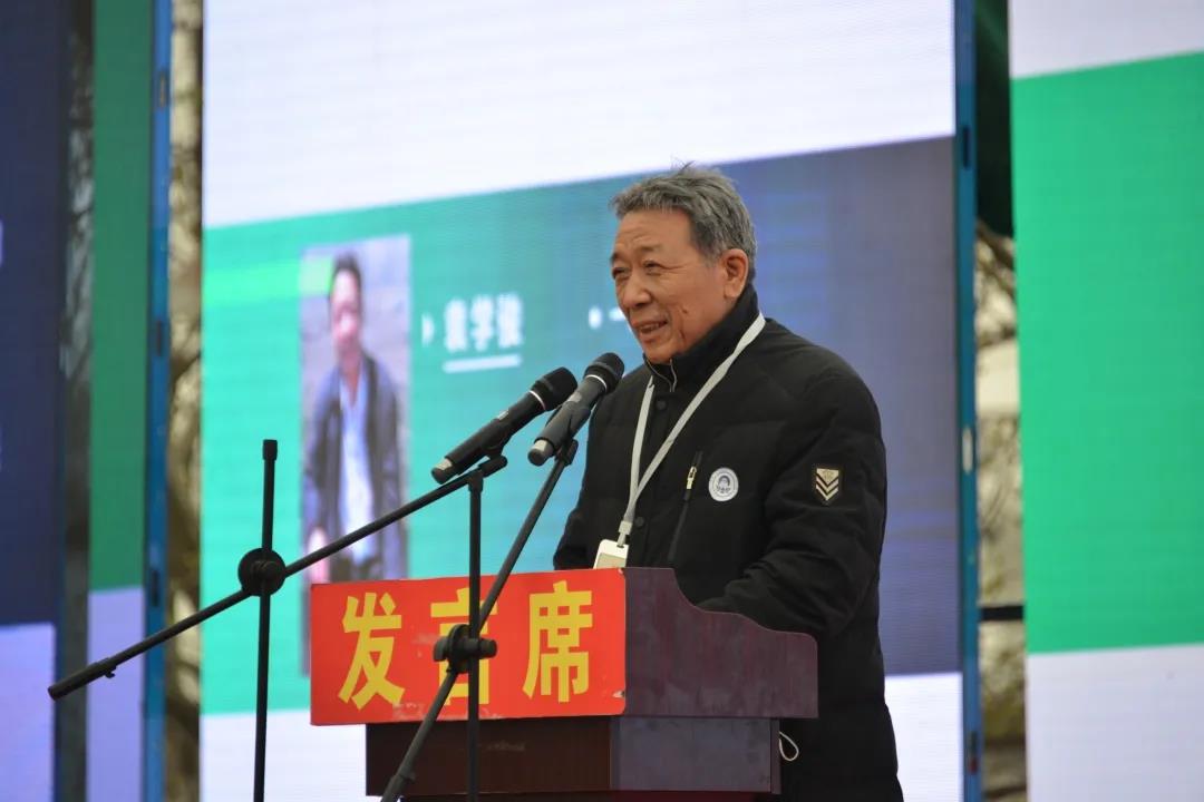 清明采风太康行 黄淮文化盛宴开