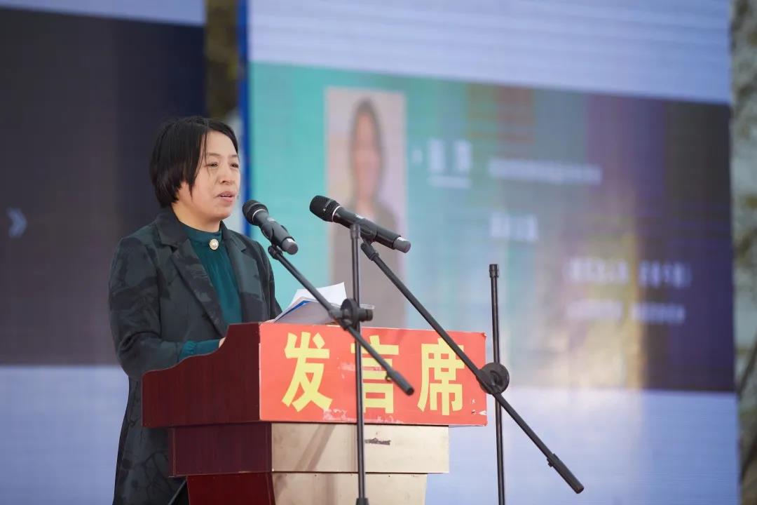 清明采风太康行 黄淮文化盛宴开