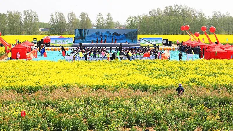 魅力商水 多彩沙河——金色花田乐游汇