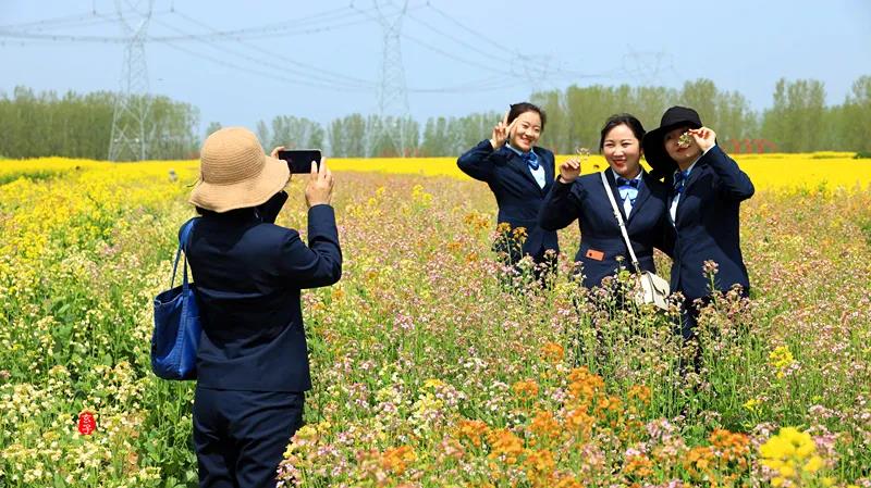 魅力商水 多彩沙河——金色花田乐游汇
