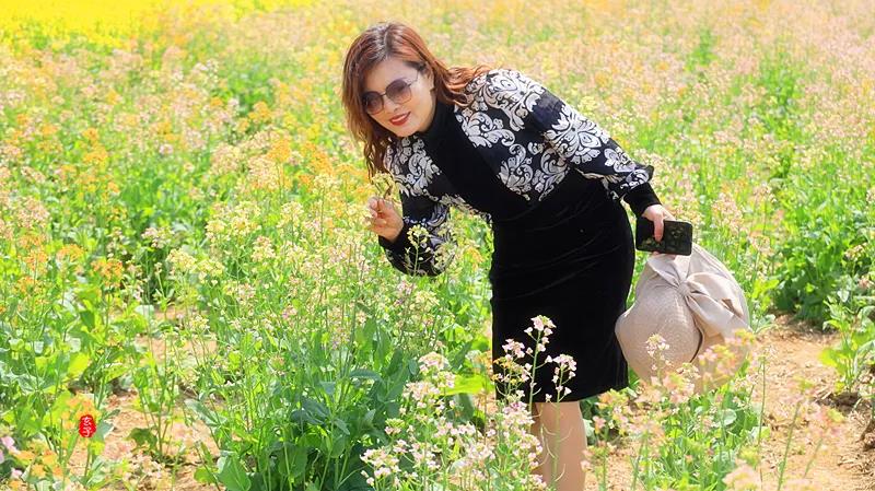 魅力商水 多彩沙河——金色花田乐游汇