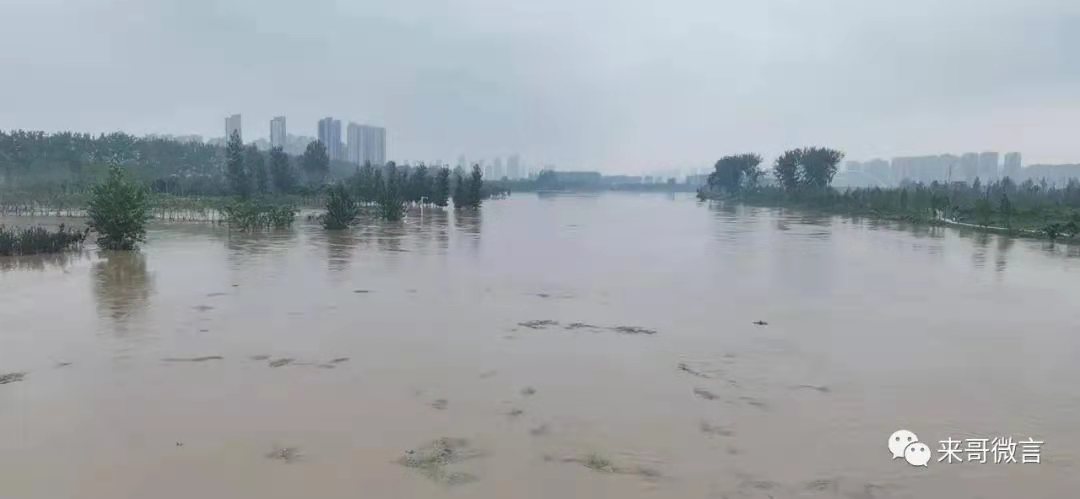 洪峰到来，周口“铁牛”挺身而出