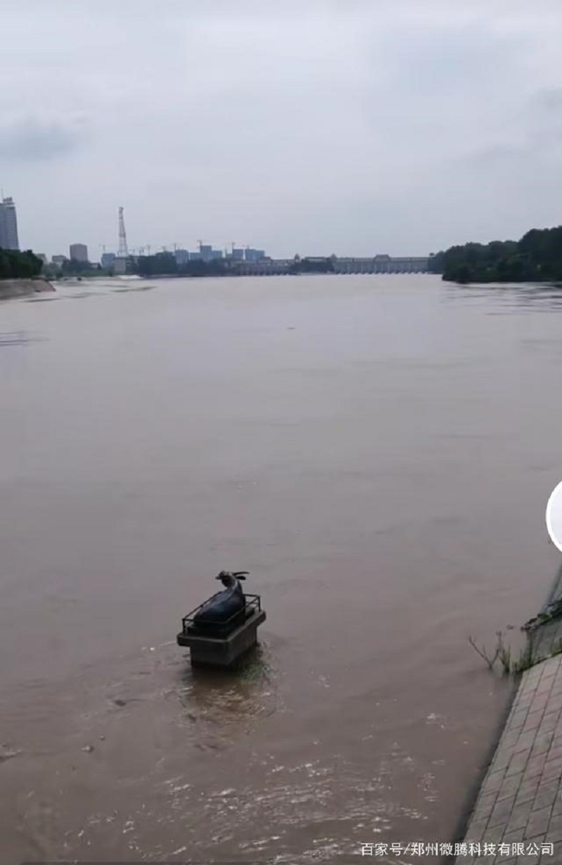 洪峰到来，周口“铁牛”挺身而出