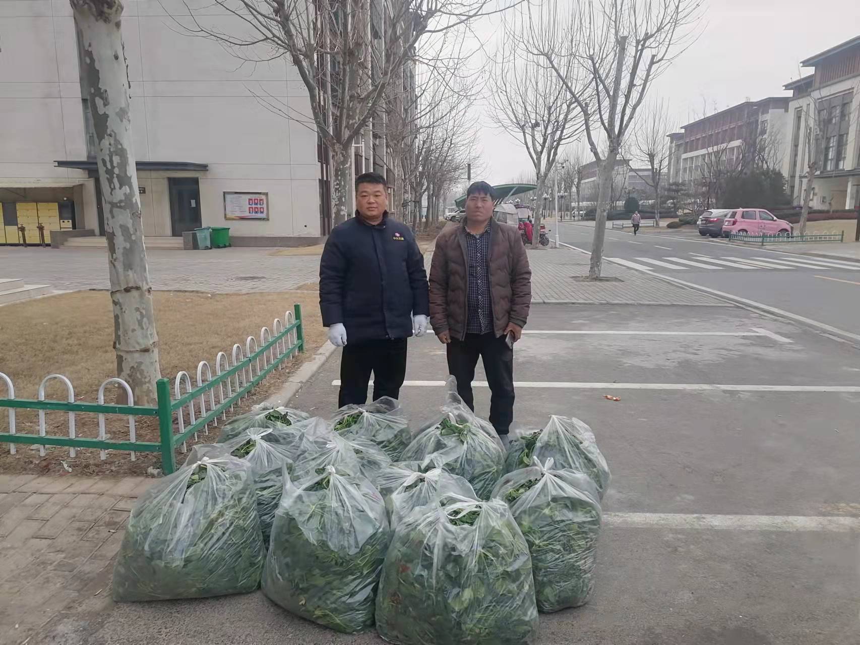 “闹心菜”变成“爱心菜”