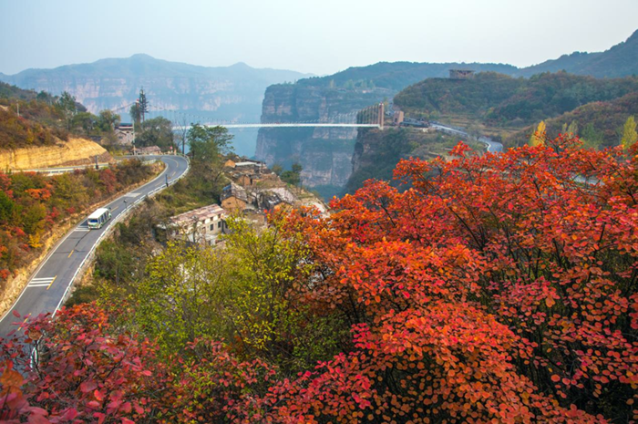 霜染枫叶红 林州太行大峡谷秋景美如画