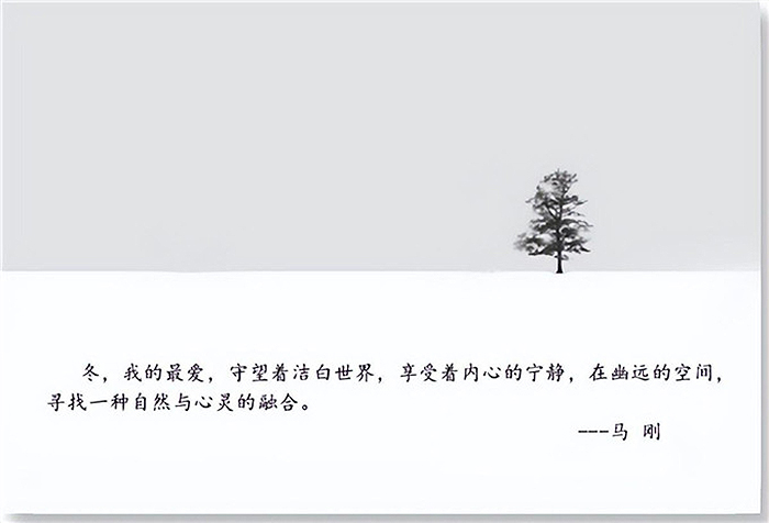 宁静幽远 圣洁空灵：冬的探索与思考