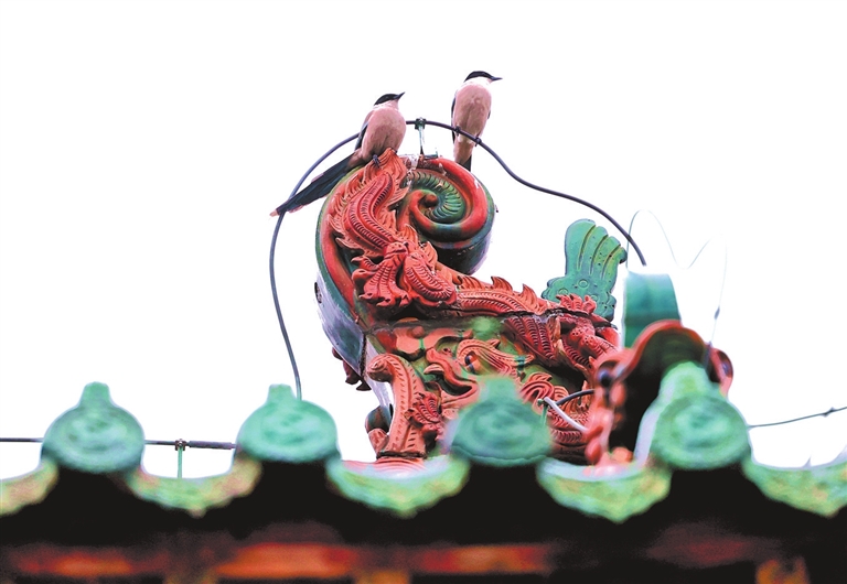 济渎庙：中原古建宝库