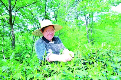 古韵新声 涌动中原——解码河南文旅何以“破圈”