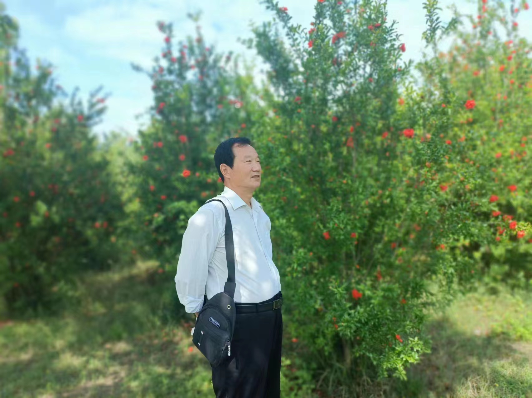 当代实力派书法家巴云同艺术作品欣赏